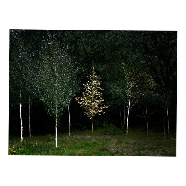 Ellie Davies, Smoke and Mirrors 3, Print For Sale