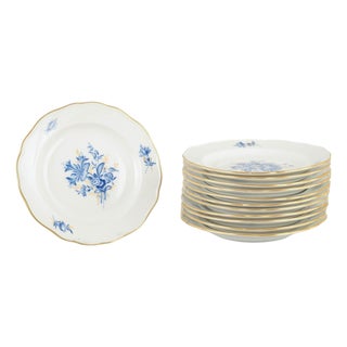 Porcelain Plates with Blue Floral Motifs and Gilt Rim from Meissen, Set of 12 For Sale