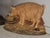 20thc Century Cast Iron Pig Door Stop For Sale - Image 4 of 6
