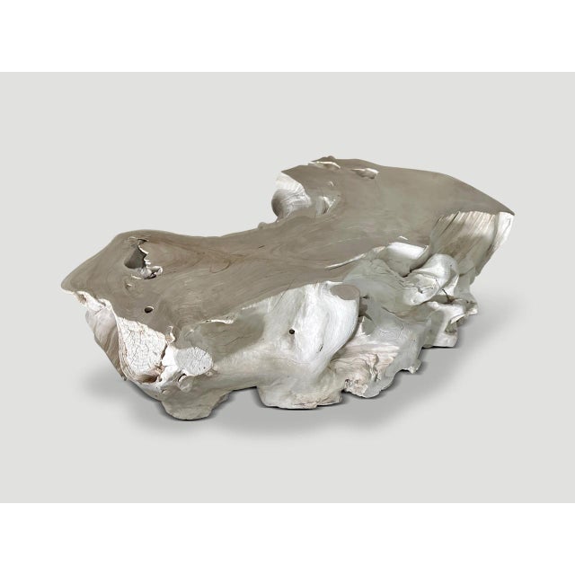 Andrianna Shamaris Bleached Teak Wood Coffee Table For Sale - Image 18 of 18