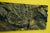 19th Century Art Nouveau Bas-Relief Flowers Panel in Bronze For Sale - Image 12 of 18