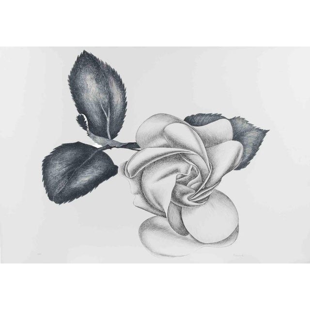Giacomo Porzano, Black Rose, 1972, Etching For Sale - Image 3 of 3