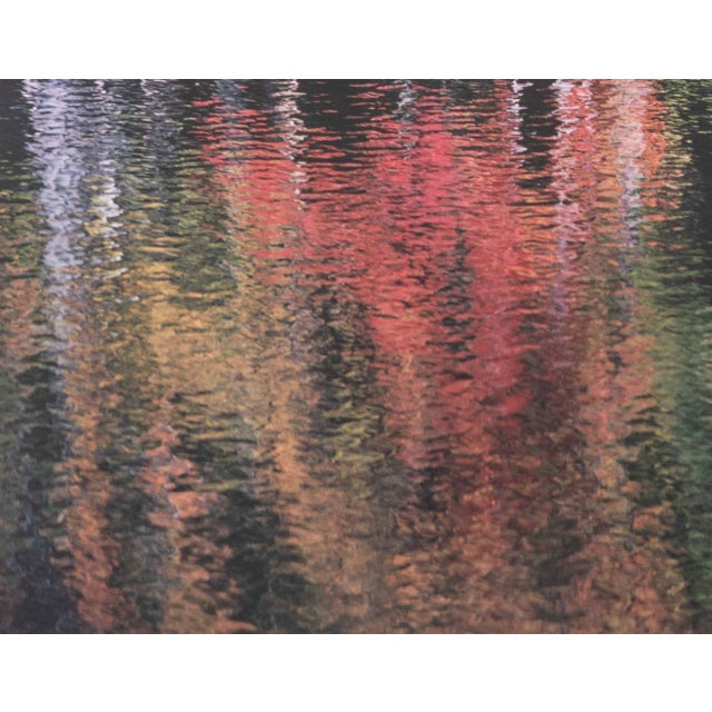 Contemporary Sonja Bullaty Autumn River Chromogenic Print For Sale - Image 3 of 9