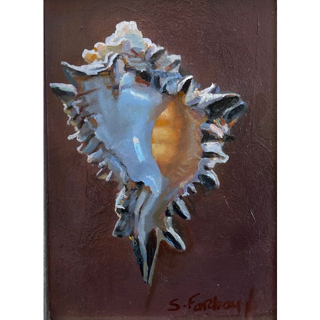 Floating by Sheri Farabaugh | Oil on panel Shell on a dark background For Sale