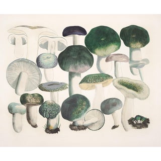 Reproduction Contemporary Mushroom Botanical Study Print in Earthy Greens For Sale