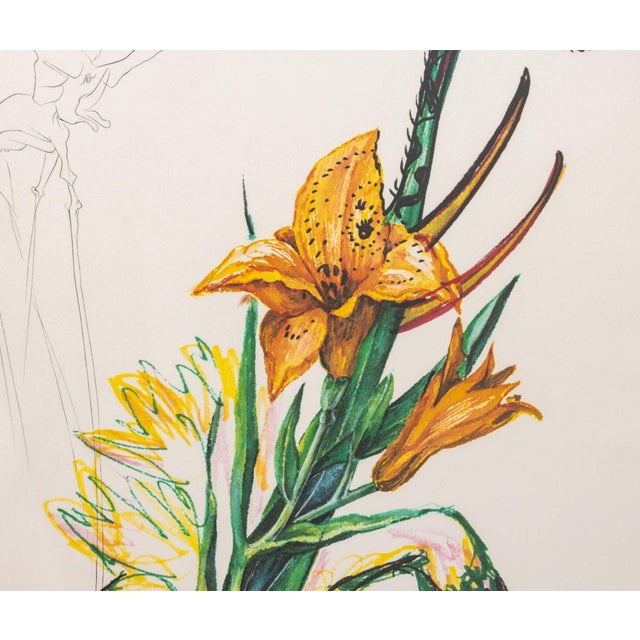 Contemporary Salvador Dali "Daylily (Elephant)" Etching, 1972 For Sale - Image 3 of 13