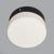 Vintage Ceiling Light in Opal White Glass, 1950s For Sale - Image 4 of 13