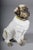 Ceramic Pug Dog Figurine, England, 20th Century For Sale - Image 6 of 18