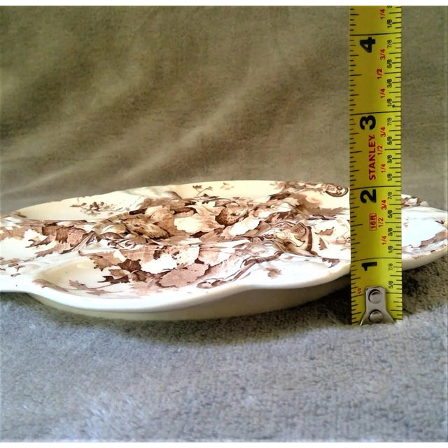 Ceramic Antique Marguerite Royal Staffordshire Pottery Brown Transferware Oyster Plate For Sale - Image 7 of 12