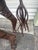 Lifesize Welded Metal Giraffe . Great Garden Decor For Sale In Miami - Image 6 of 12