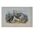 Audubon Hare Indian Dog: An Original 19th Century Audubon Hand-Colored Lithograph, 1854 For Sale