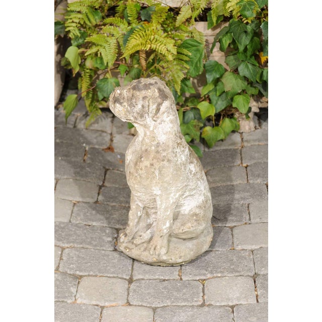 Gray Vintage French Stone Sculpture of Dog in Sitting Position from the 1920s-1940s For Sale - Image 8 of 10