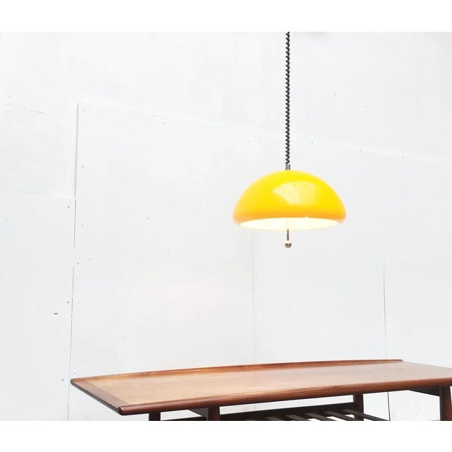 Space Age Cabras Pendant Lamp by Luigi Massoni for Guzzini For Sale - Image 15 of 18