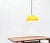 Space Age Cabras Pendant Lamp by Luigi Massoni for Guzzini For Sale - Image 15 of 18