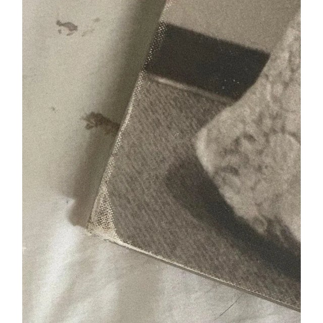 Autographed Herb Ritts Book "Notorious" With Originally Signed a by Herb Ritts For Sale - Image 4 of 9