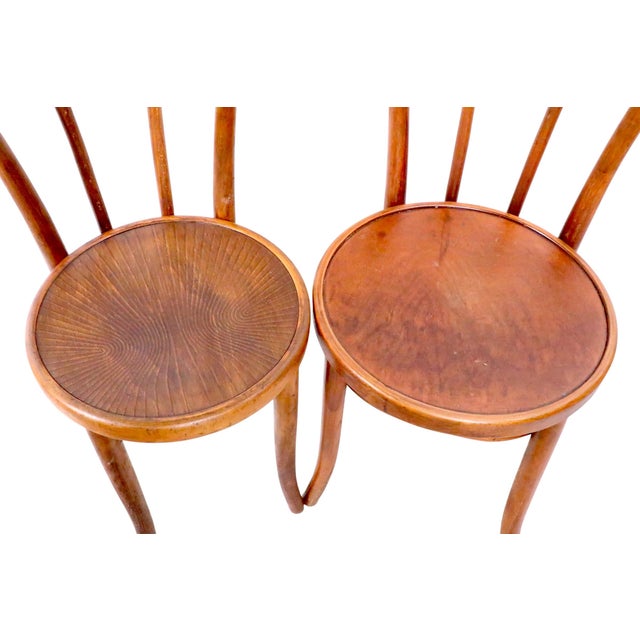 Wood Early 20th Century Set of Four Vienna Secessionist Style Thonet Bentwood Cafe Bistro Dining Chairs For Sale - Image 7 of 13