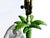 Vintage Italian Majolica Monkeys With Palm Tree Table Lamp For Sale - Image 12 of 16