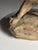 Armand Fagotto, Lion, Terracotta For Sale - Image 6 of 18