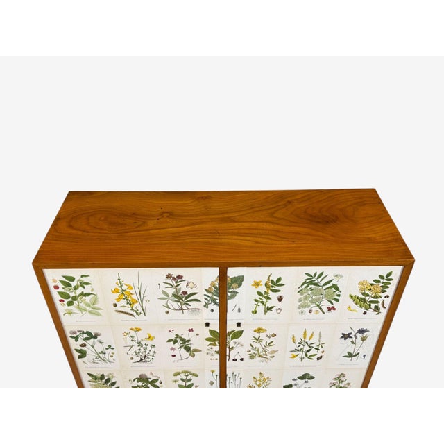 Swedish Modern, Nordens Flora Cabinet, Brass, Floral Lithographs, Sweden, 1930s For Sale - Image 9 of 11