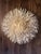 Rattan Urchin Ambient Light Shade For Sale - Image 9 of 12