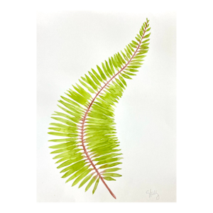 Fern Curve Painted in Watercolor on Heavy Paper