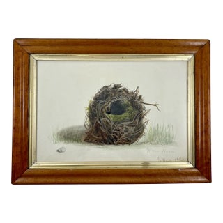 English Regency Period Original Watercolor Fruitwood Frame, a Willow Wrens Nest For Sale