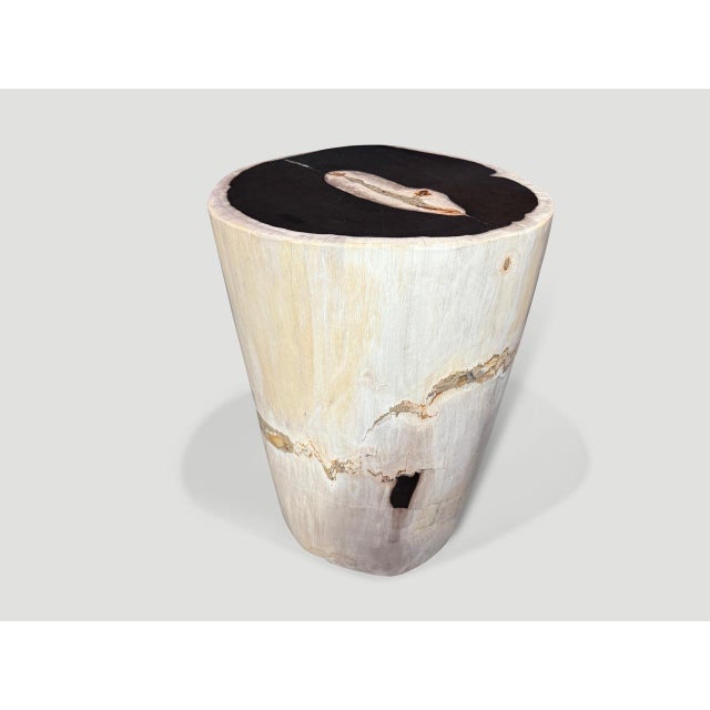2010s Andrianna Shamaris Black and White Petrified Wood Side Table or Pedestal For Sale - Image 5 of 6