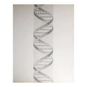 “Clyde Stairway 2” Graphite Drawing by James Spencer Russell