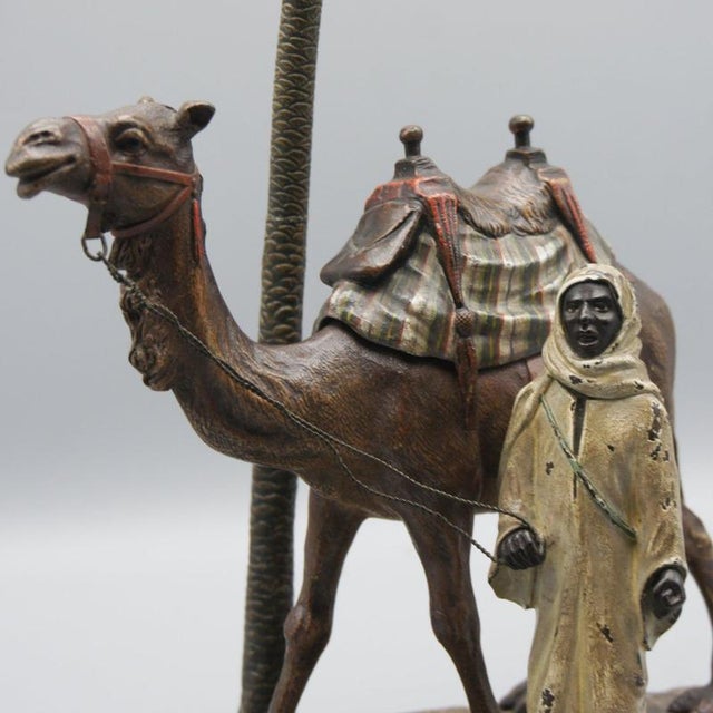 Antique Man with Camel by Franz Bergman, 1890s For Sale - Image 5 of 8
