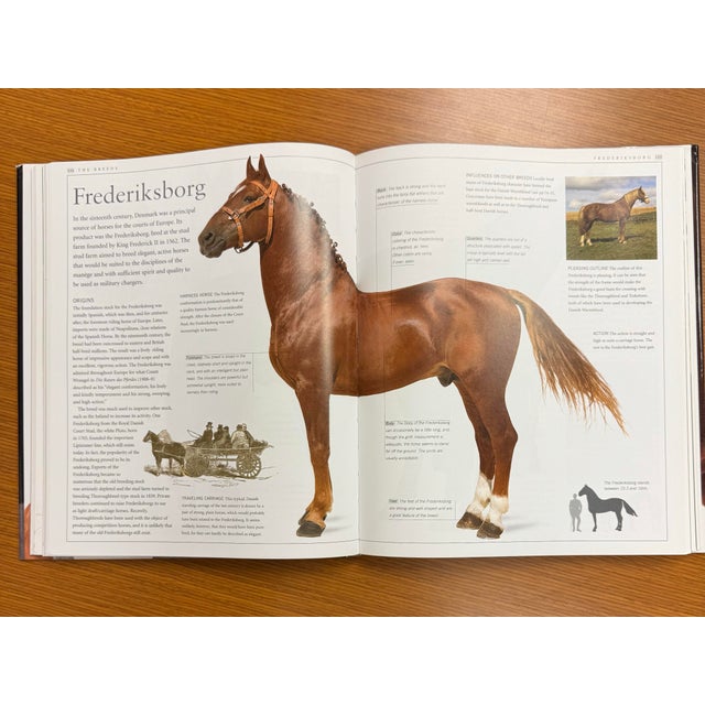 Paper Ultimate Horse Coffee Table Hardcover Book 2002 For Sale - Image 7 of 10