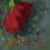 Criscuolo, Red Flowers Still Life, Oil on Canvas For Sale - Image 4 of 7