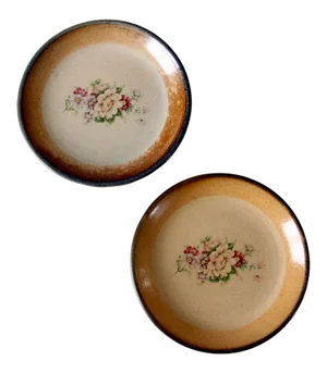 Vintage Floral Pottery Plates - a Pair