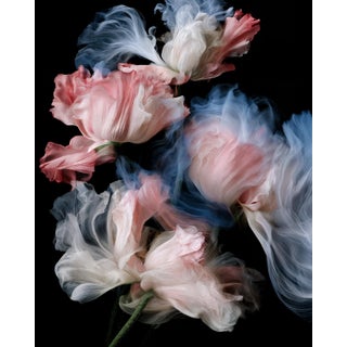 Petals in Motion Contemporary Photograph For Sale