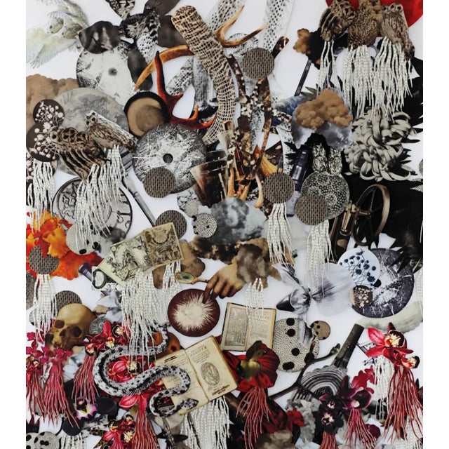 "Natural Philosophy / the Alchemists" Original by Barbara Wildenboer In Natural Philosophy / The Alchemists, Barbara...