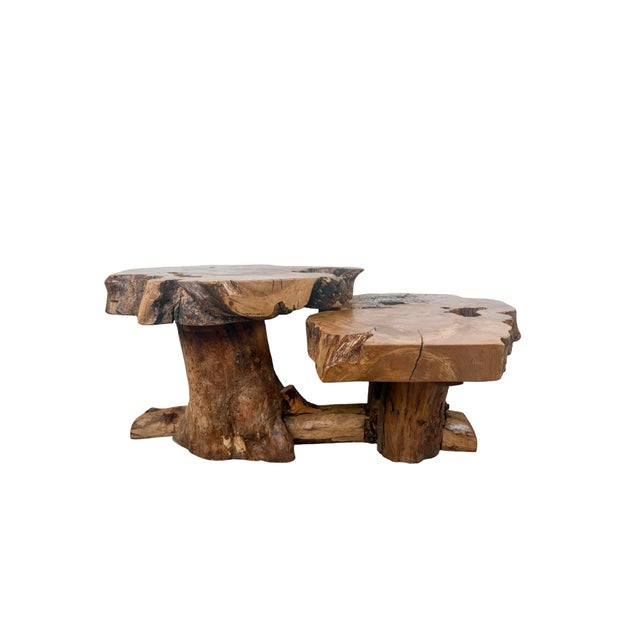 Vintage Organic Modern Two-Tier Live Edge Wood Coffee Table For Sale - Image 14 of 18