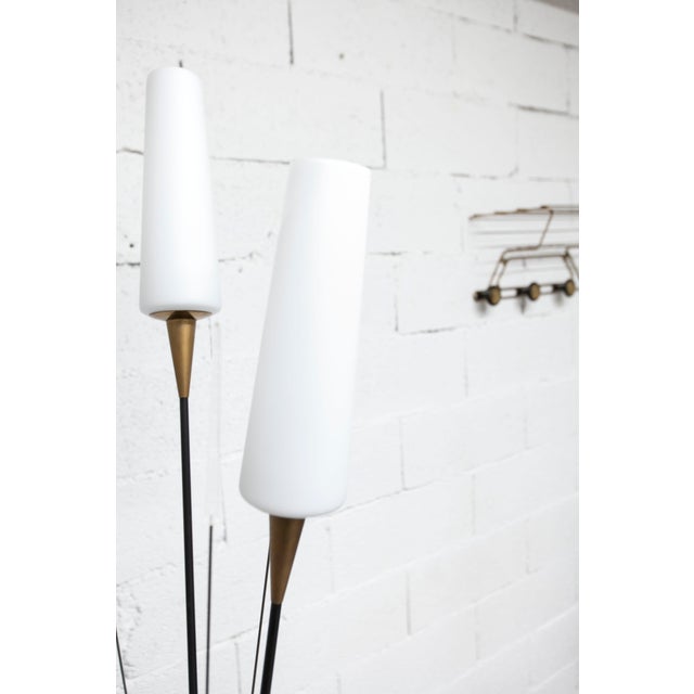 Vintage Reed Floor Lamp in Opaline by René Mathieu, 1950 For Sale - Image 14 of 18