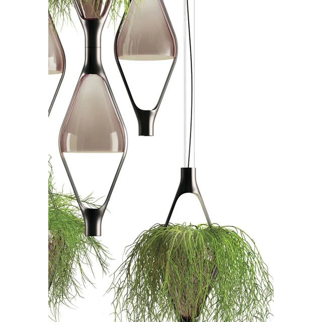 Mid-Century Modern Viceversa 2' Modular Suspension Lamp by Noé Lawrance for Kdln in Smoke Gray For Sale - Image 3 of 13