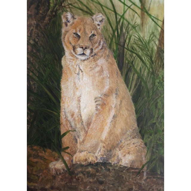 Pamela Baldwin Original Cougar Wildlife Mixed Media Watercolor & Pencil Painting, Framed For Sale - Image 4 of 5