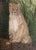 Pamela Baldwin Original Cougar Wildlife Mixed Media Watercolor & Pencil Painting, Framed For Sale - Image 4 of 5