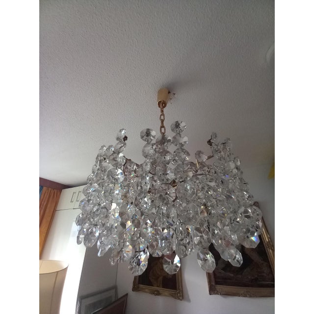 Crystal Chandelier from Bakalowits & Söhne For Sale - Image 9 of 13