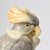 Art Deco Carved Alabaster Sculpture of Cockatoo, 1930s For Sale - Image 10 of 12