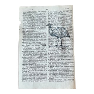 Signed Original Watercolor Painting on Vintage Dictionary Page “Emu” For Sale