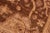 Shabby Chic Ziegler Brown Tan Hand-Knotted Wool Rug - 6'2'' X 9'0'' For Sale In New York - Image 6 of 8