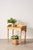 English 19th Century English Pine Wash Stand / Desk For Sale - Image 3 of 13