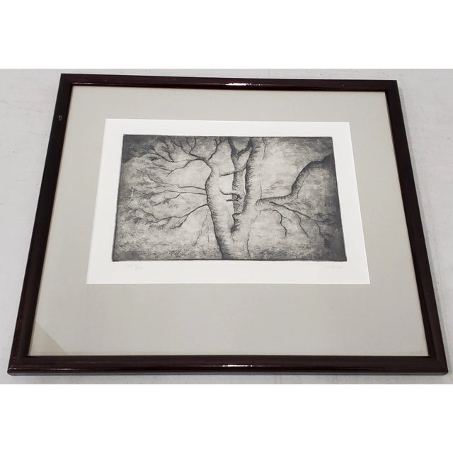 Henry Spencer Moore (1898-1986) "Spreading Branches" Original Signed Etching For Sale - Image 11 of 11