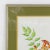 Campsis grandiflora, also known as Bignonia, is a deciduous woody vine with stems that can climb up to 6 meters. The...