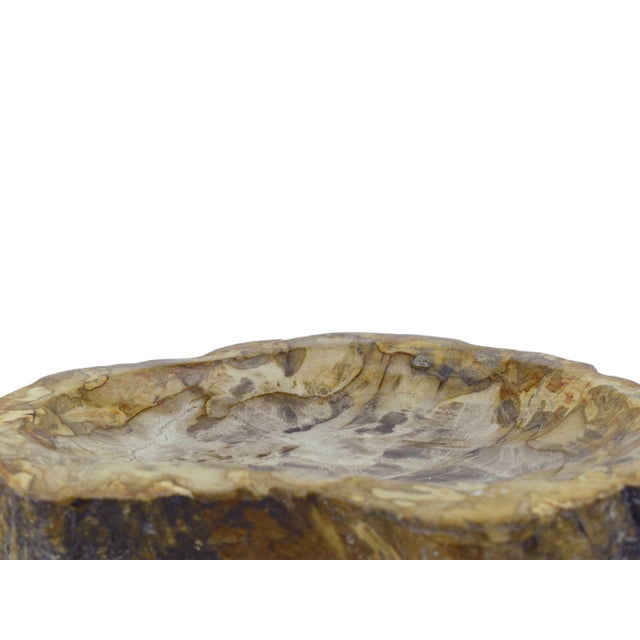 Brown Late 20th Century Carved Solid Stone Bowl With Natural Irregular Shape Accent Dish For Sale - Image 8 of 10