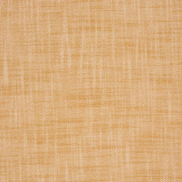 Contemporary SAMPLE - Schumacher Sasha Indoor/Outdoor Fabric In Tan For Sale - Image 3 of 3