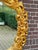 1970s 1970s Italian Rococo Gold Beech Wall Mirror For Sale - Image 5 of 12