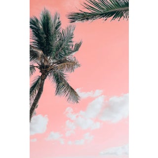 "Palms 2" 48x32 Contemporary, Fine Art Photography by Kristin Hart For Sale